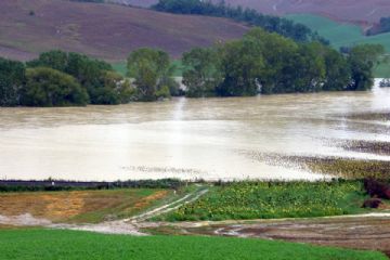 Evento alluvionale 29/30 giugno 2024 - Modalit&#224; di richiesta danni