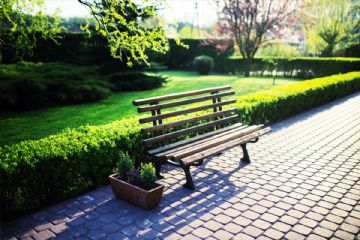 Corv&#233;e d&#39;Arn&#224; 25 ottobre 2025